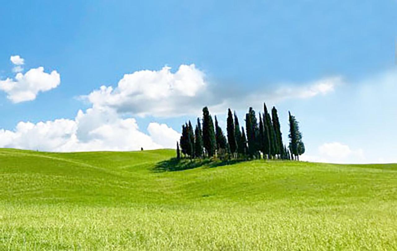La Casa Nel Poggio 247 Vicino A Siena Apartment Ponte a Tressa ภายนอก รูปภาพ