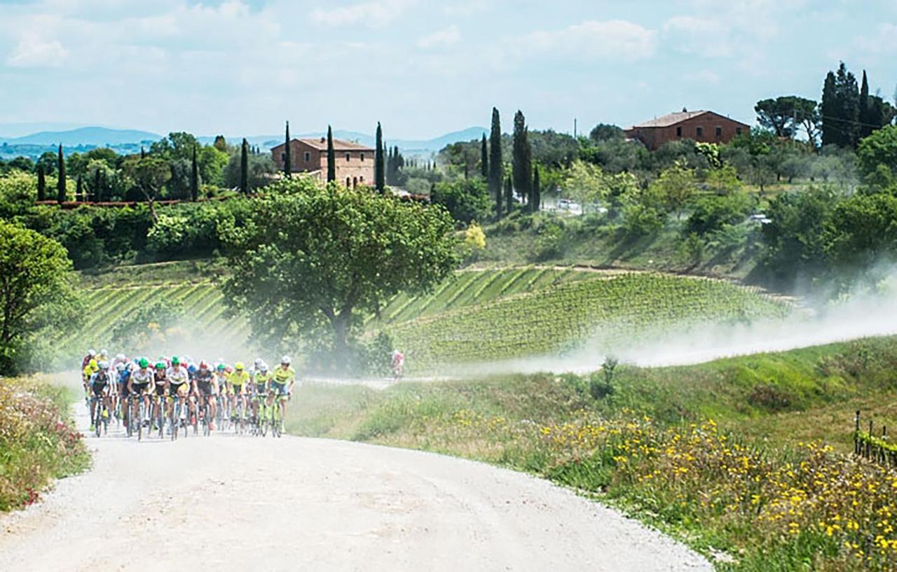 La Casa Nel Poggio 247 Vicino A Siena Apartment Ponte a Tressa ภายนอก รูปภาพ