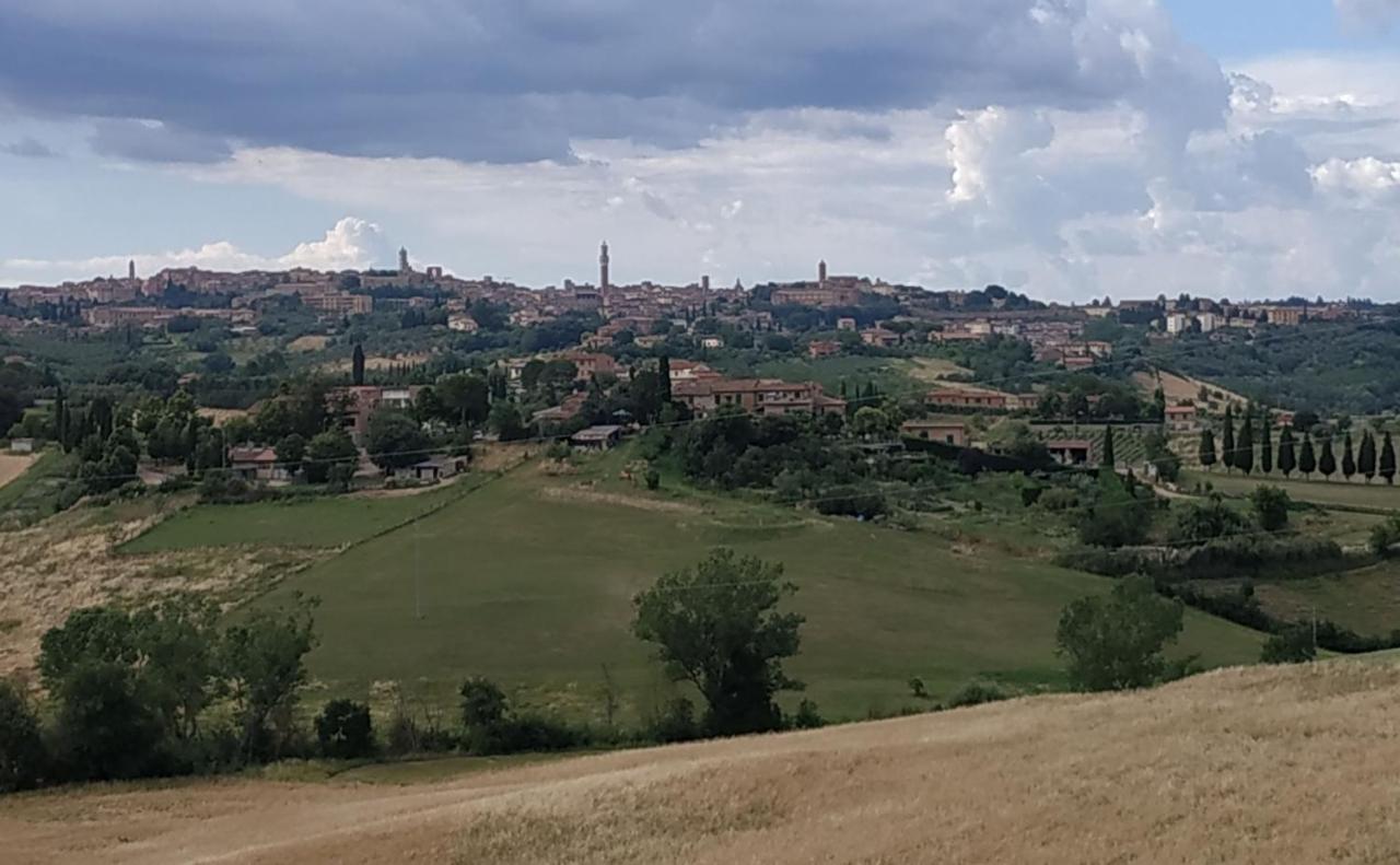 La Casa Nel Poggio 247 Vicino A Siena Apartment Ponte a Tressa ภายนอก รูปภาพ